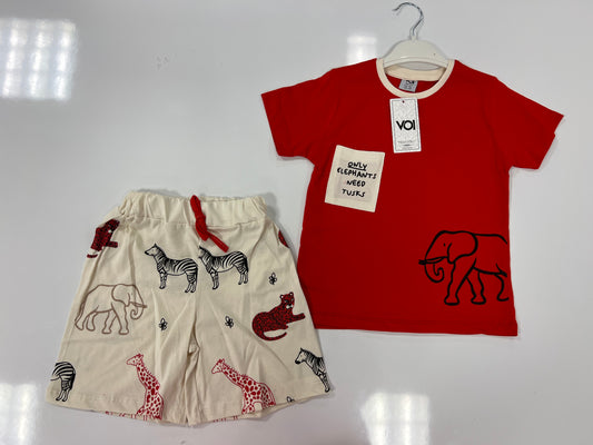 Elephant set 165