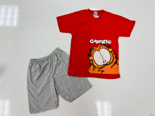 Garfield set 180